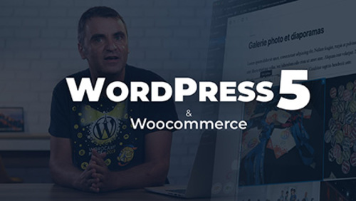 Couverture de Wordpress 5 - Les fondamentaux