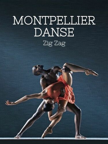 Couverture de Montpellier danse, zig zag